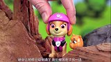 第17集 拯救小猫咪