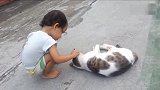 小女孩以为猫咪好欺负，结果不一会儿，被猫咪转身打哭！