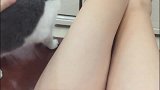 主人喊猫咪过来，猫咪就屁颠屁颠的跑到主人腿上，太听话了