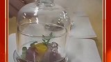 全新烟熏金枪鱼，这样的创意料理，身价直接翻倍