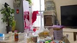 小晨去市里照顾大嫂坐月子，到家第一件事是干啥？又给大哥省心了
