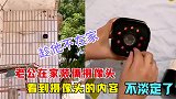 老公在家装俩摄像头，老婆趁他不在家，看到摄像头的内容不淡定了