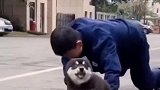 狗狗偷亲训练小哥哥，画风太温馨，大概是把他当爸爸了吧