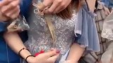 最美的伴娘之一