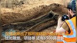 【英国】工人修铁路竟然挖出6500具遗骸