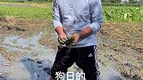 一点空闲时间都不给我