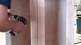 小衣柜门子安装！ #看我的天秀操作