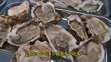 小米在郑州吃海鲜自助，2个人吃了50只生蚝，终于实现生蚝自由