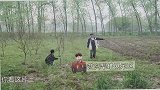 张艺兴跟杨紫炫耀，杨紫的回应，张艺兴都脸红