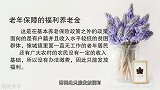 养老金上涨后，现在能拿多少养老金？