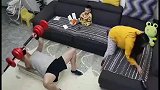 女子打扫卫生时单臂提起杠铃，一旁健身的老公瞬间傻眼