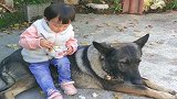 女儿在奶奶家呆了一年，没想到和家里的狗狗相处得这么好