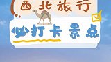 如果多一张机票，你愿不愿意跟我一起去大西北