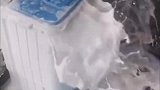 这家人的脚气真重把洗衣机都给整吐了，还能不能让它好好工作