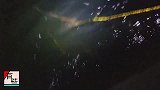 二货河里放地笼捕鱼，用猪大肠做诱饵，5天后去收地笼，收获满满