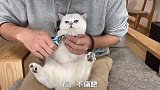 晚晚剪指甲剪着剪着都能睡着