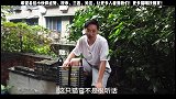 街边恶霸猫被打坠落深坑，绝育领养后秒变高富帅！ 流浪猫   猫