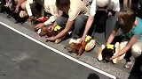 综合-14年-真正的“热狗”比赛！萌狗身挂道具赛跑-新闻