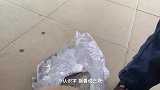 深圳创业打拼，一条鱼两个孩子吃两餐，也不知道咋回事？就爱吃鱼