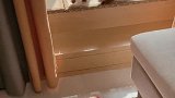 狗狗有多喜欢晒太阳，看得人心里暖洋洋