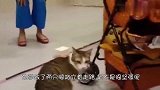每当快撑不住时，请把它拿出来看一遍：要做个坚强的熊！