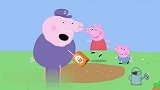 小猪佩奇：猪爷爷的种子，刚转身就不见了，是谁偷走了呢