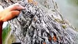 爬这种山需要注意什么