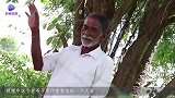 猴子把狗当孩子品种都不一样，它还天天抱到怀里不松手
