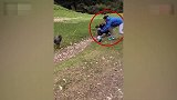 公羊发疯朝小孩猛冲过来 危急时刻妈妈神反应一个动作救娃