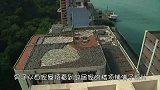男子发现邻居家屋顶铺满“瓦片”，上前看清后，陷入沉思