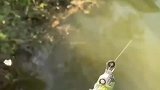 钓鱼人钓鱼魂，没有鱼竿自己造