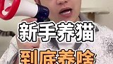 新手养猫到底选啥？