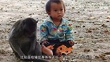 外国男子将一条鱼放在可乐中，30天后，鱼去哪了？
