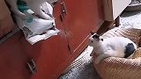 几天没有打了