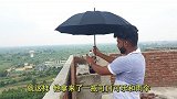 雨伞能代替降落伞吗？老外用可乐测试，结果让人意想不到！