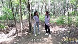 虎妹让胖墩捅马蜂窝，结果被妈妈发现，几人被妈妈追着打了一顿