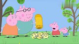 小猪佩奇：猪爸越长越大，帐篷却变小了，时间过得真快啊！
