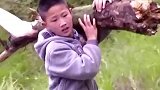 十三岁男孩孝心撑起一个家，报答养父和奶奶养育之恩