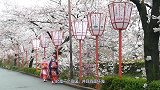 未来日本若真的沉没，可以举国搬迁到这里，连地皮都买好了？