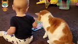 1岁娃生气不搭理小猫了，下一秒小猫的举动，爸妈瞬间快笑岔气了
