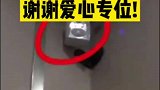 当我不小心进入爱心专位