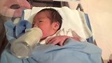 出生第三天的小婴儿自己喝奶，大口大口吞咽，吸食的声音太萌了！