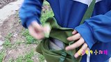 甜甜和来福一起烤菠萝，你吃过烤菠萝吗？ (5)
