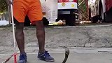 眼镜蛇跑进村子里，印度小哥一个塑料瓶，就轻松搞定了！
