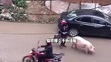 搞笑配音：挖掘机师傅跑的有点慢了，回家洗洗吧