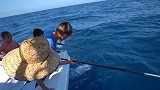 小朋友跟随家长海钓，钓到的大海鱼，比他们身体还宽
