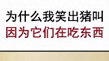 好家伙这个嗝打得比我还大声