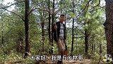 爱采野生菌的林哥，今天山沟沟发现肥美山珍，看了你们喜欢吗？