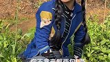 辣条不给我，我做事都做的不安宁