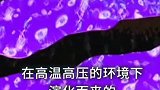 石油是怎么形成的